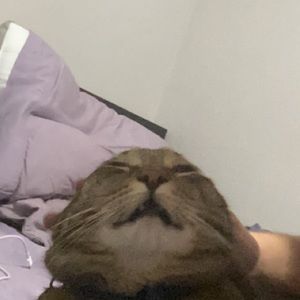 Meet your Posher, Austin